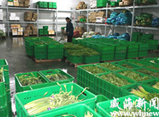 塑料周轉箱的具體應用場景